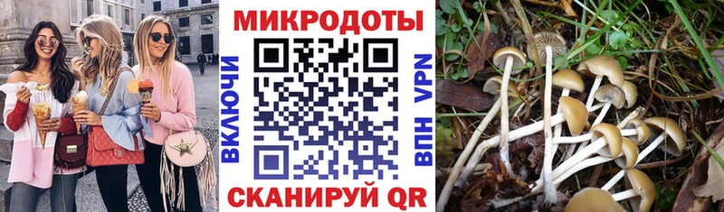 Галлюциногенные грибы Psilocybine cubensis Нижнекамск
